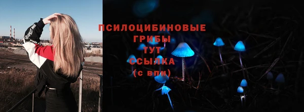 гидра Аркадак